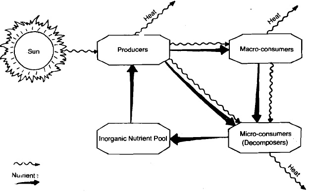 1376_natutal & artificial eco.jpg